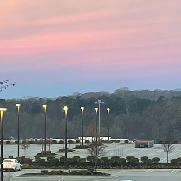 Meet your Posher, Emma - Picture 1 of 4